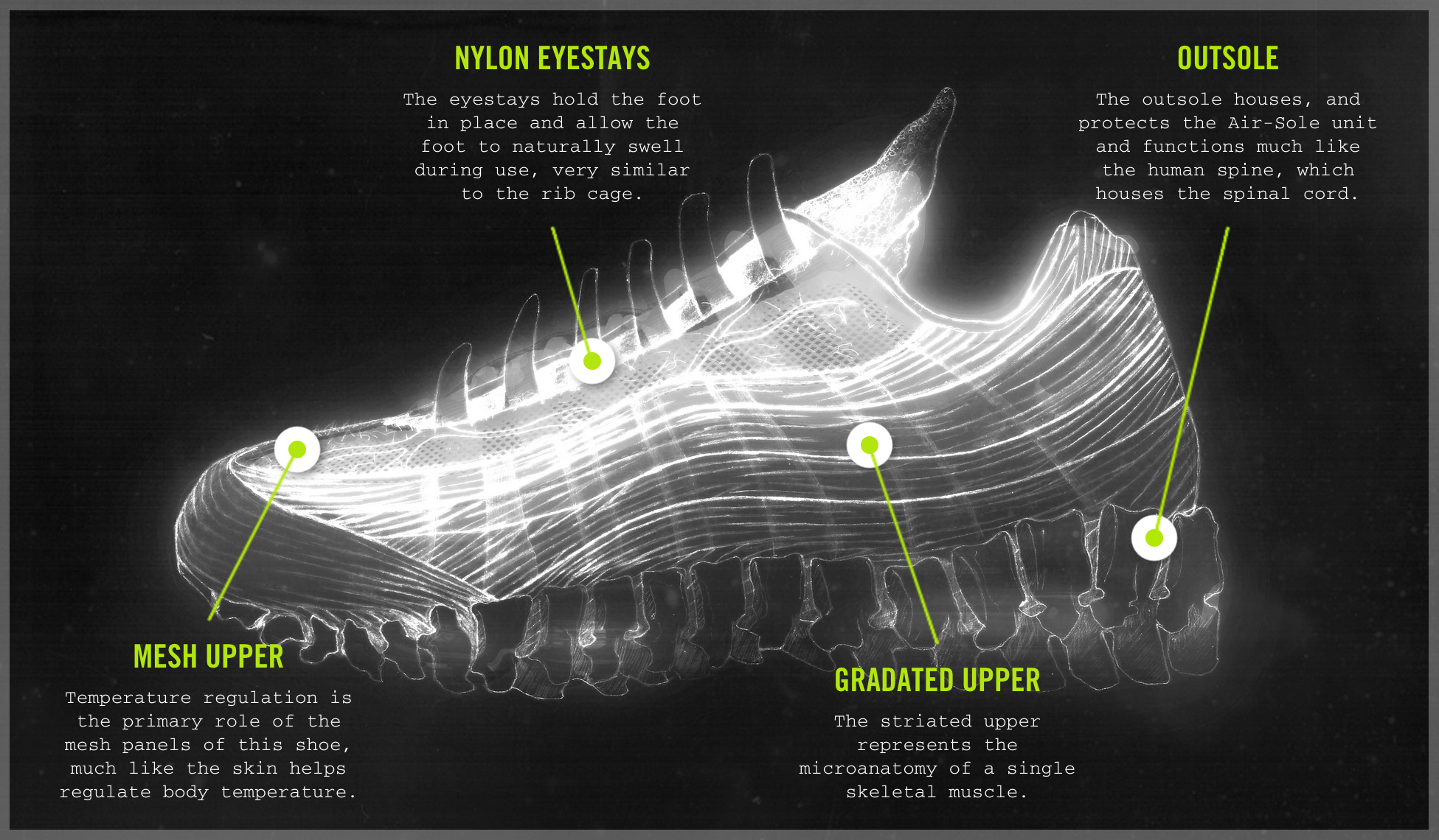 The anatomy of Air - The NIKE Air Max 95 celebrates 20 years - The Drop Date