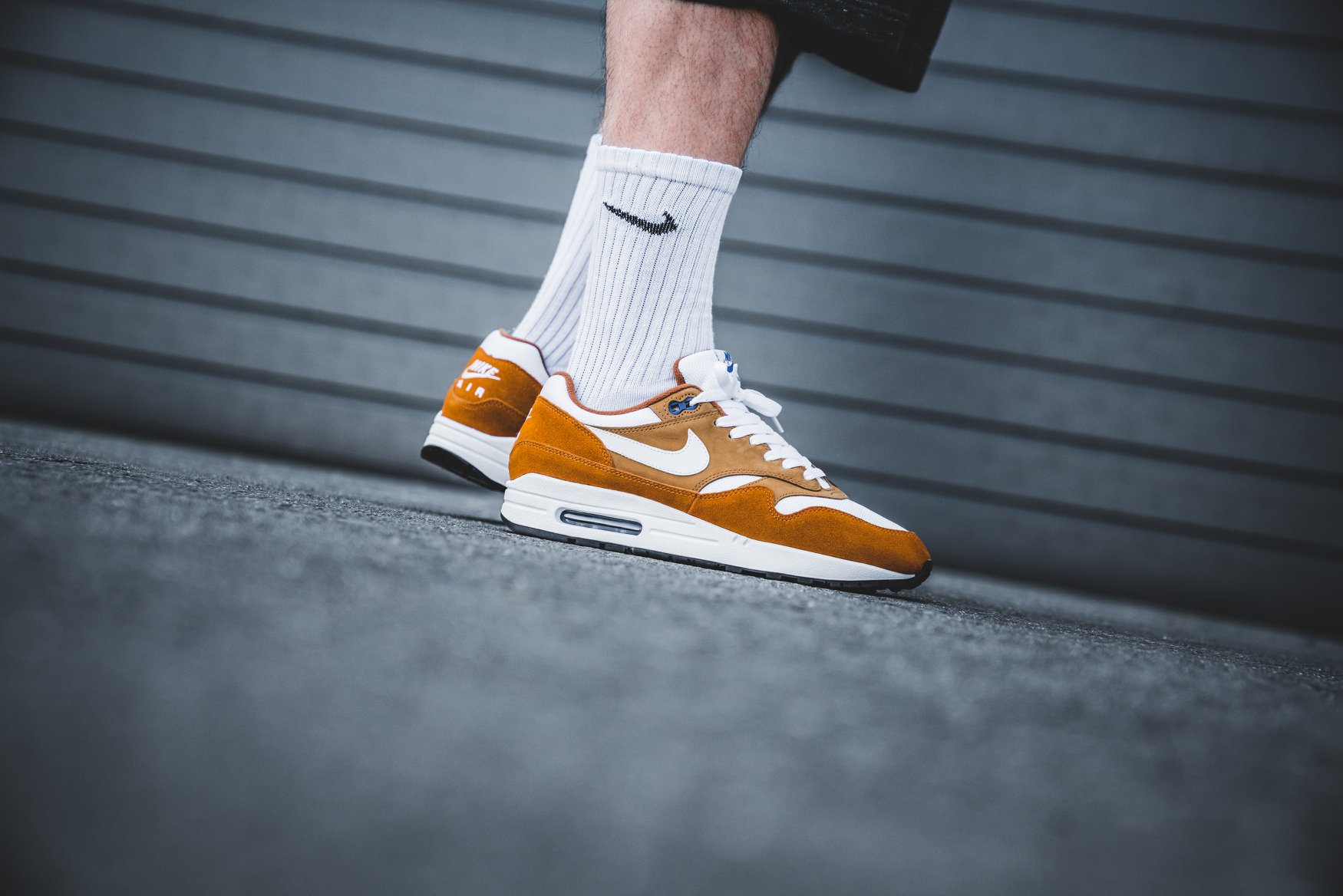 curry am1