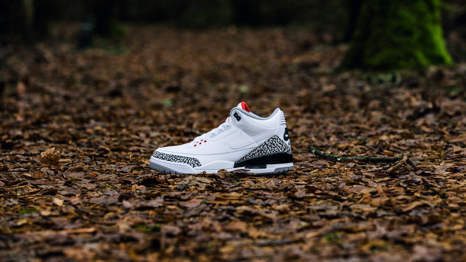 jordan 3 jth white