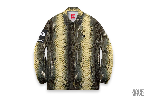 Supreme North Face Snakeskin Clearance Sale, UP TO 61% OFF | www 