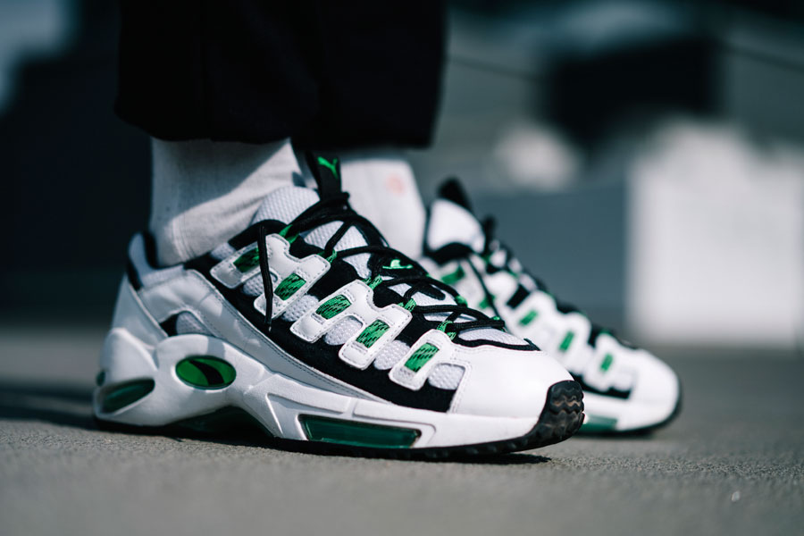 puma cell cycle