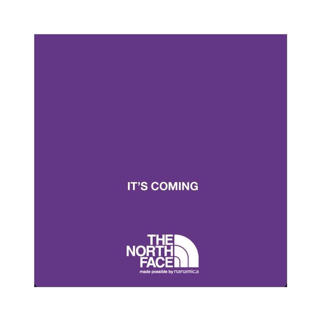 the north face purple label logo