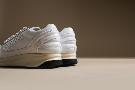 Filling-Pieces-Runner White Python1