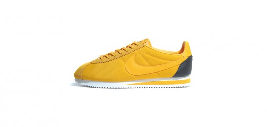 Nike Cortez Asia City Pack 3
