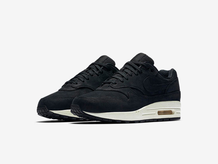 Nike Air Max 1 Pinnacle WMNS