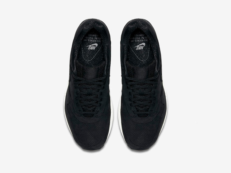 Nike Air Max 1 Pinnacle WMNS