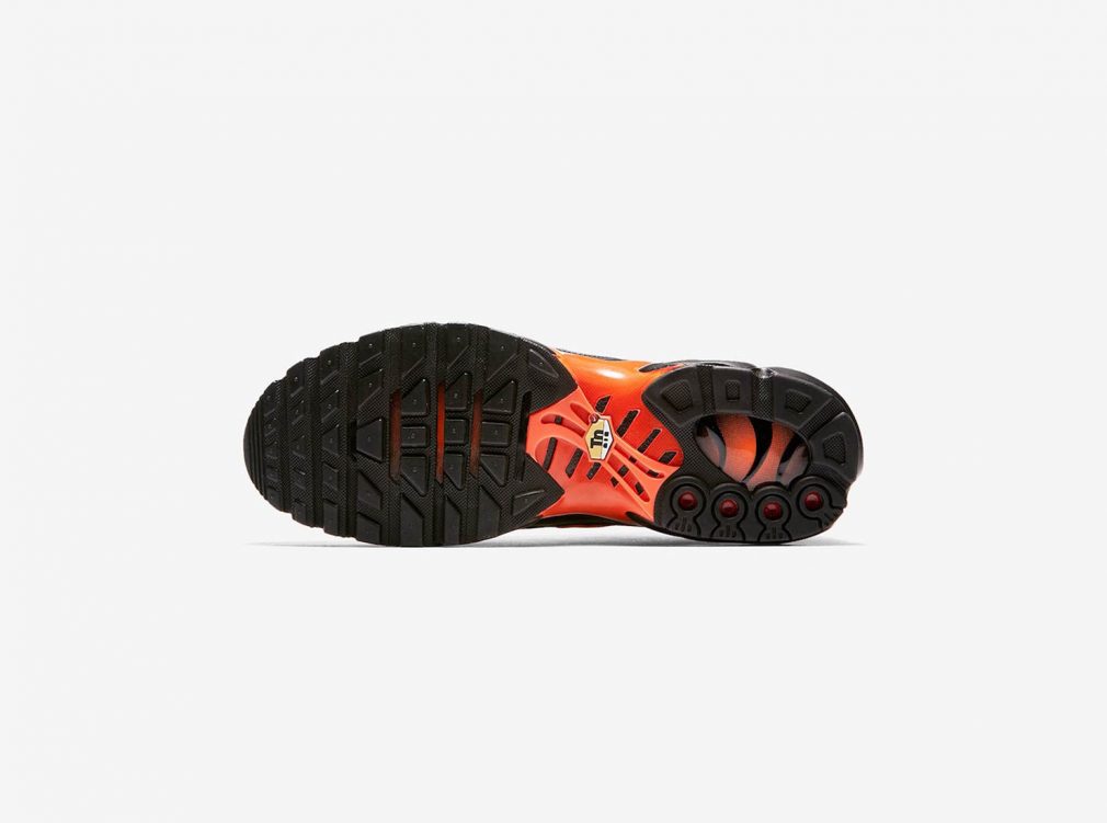 Nike Air Max Plus Black Orange