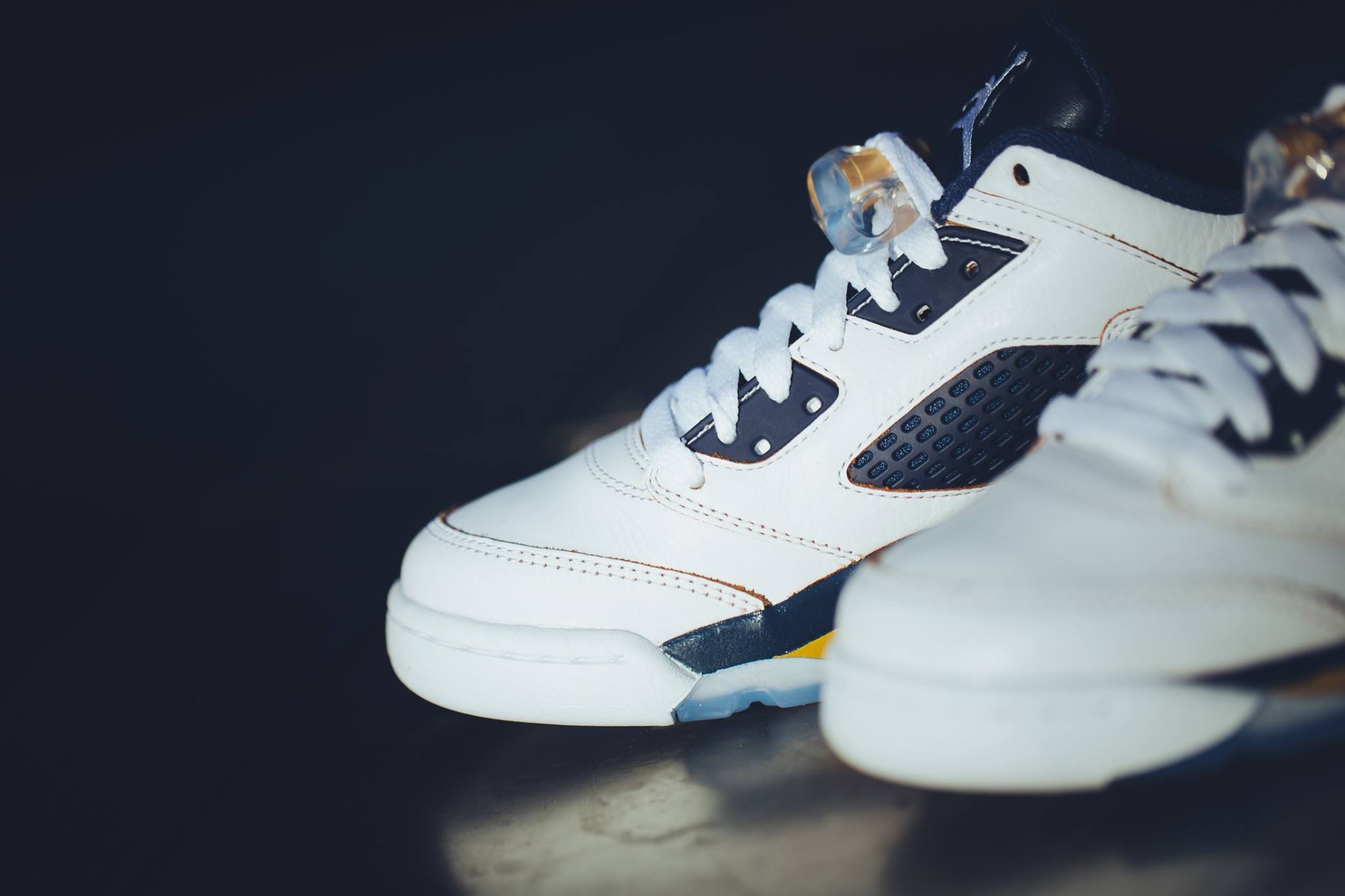 jordan 5 dunk from above