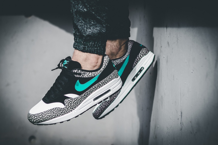 Atmos x Nike Air Max 1 \