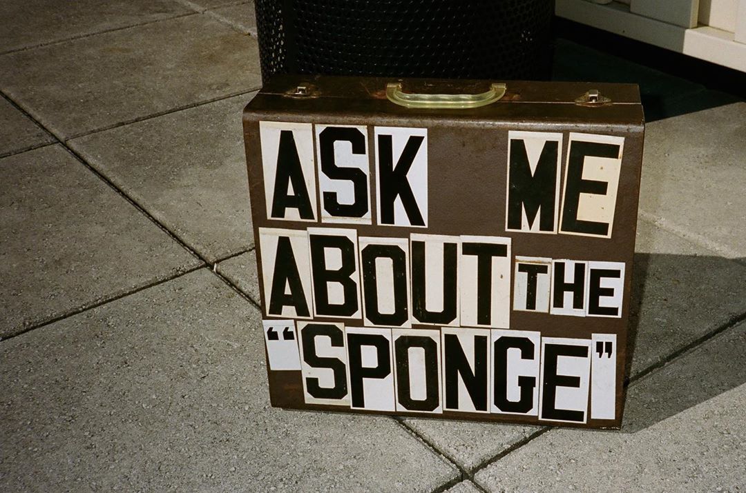 cactus plant flea market sponge by you