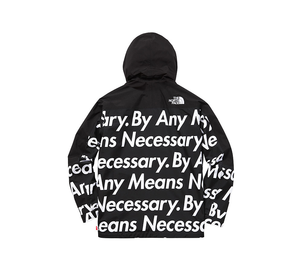 the north face by any means necessary fake