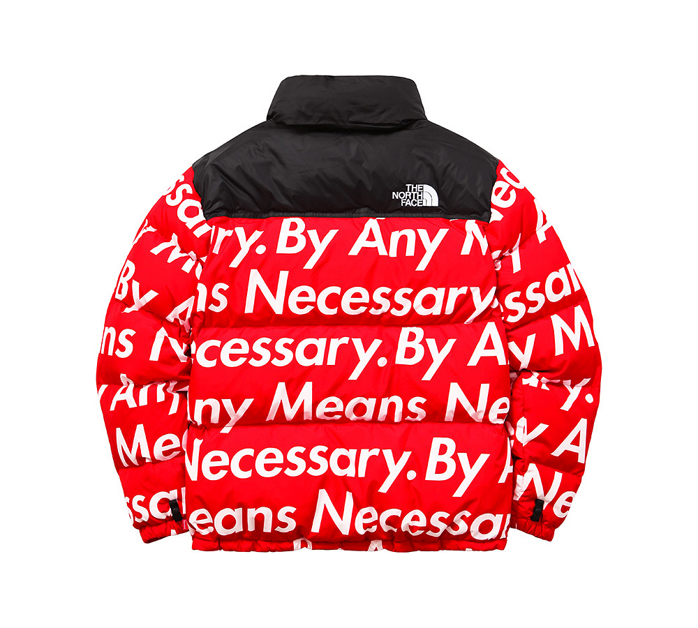 the north face by any means necessary fake